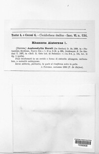 Image Associated With the Occurence